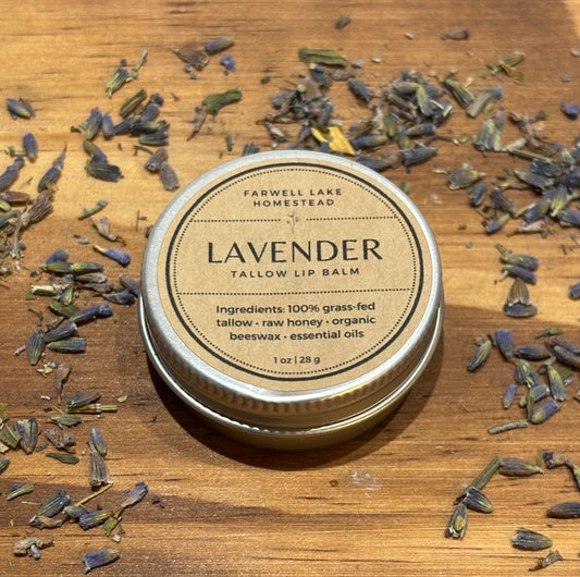 Lavender Tallow Lip Balm