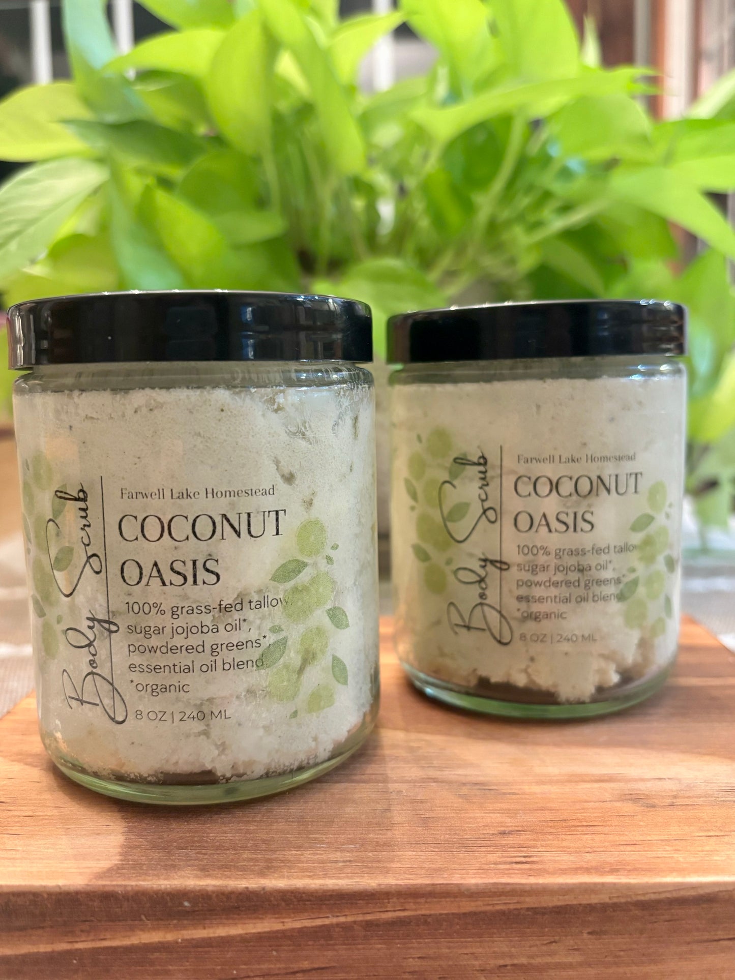 100% Grass-fed Tallow Coconut Oasis Sugar Scrub