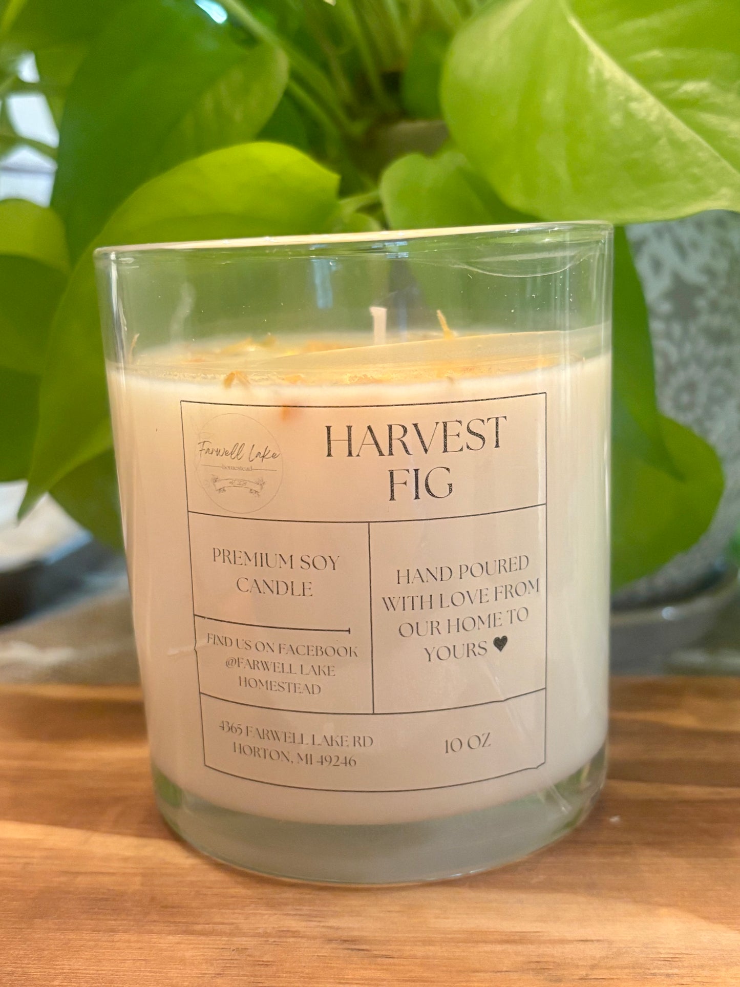 Harvest Fig - 10 oz Paraffin-Free Pure Soy Candle