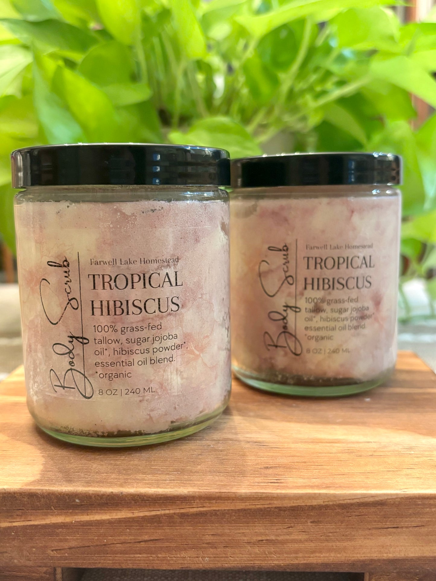 100% Grass-fed Tallow Tropical Hibiscus Sugar Scrub