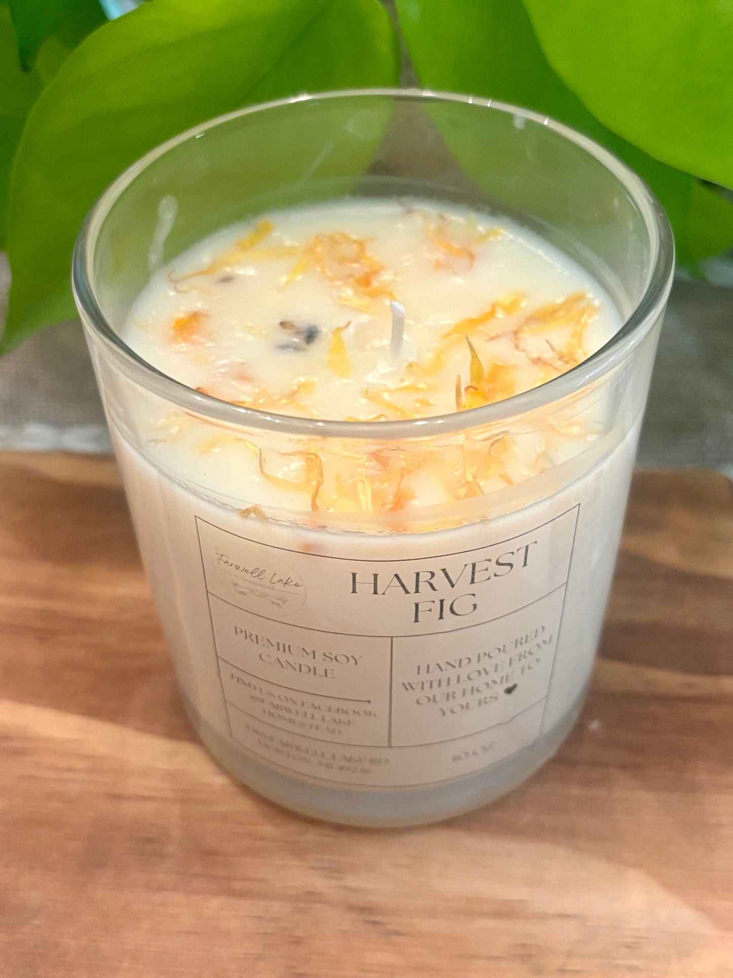 Harvest Fig - 10 oz Paraffin-Free Pure Soy Candle